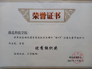 图片16