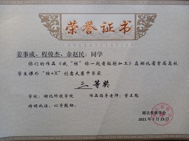 图片13