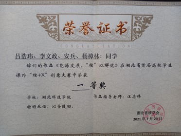 图片11
